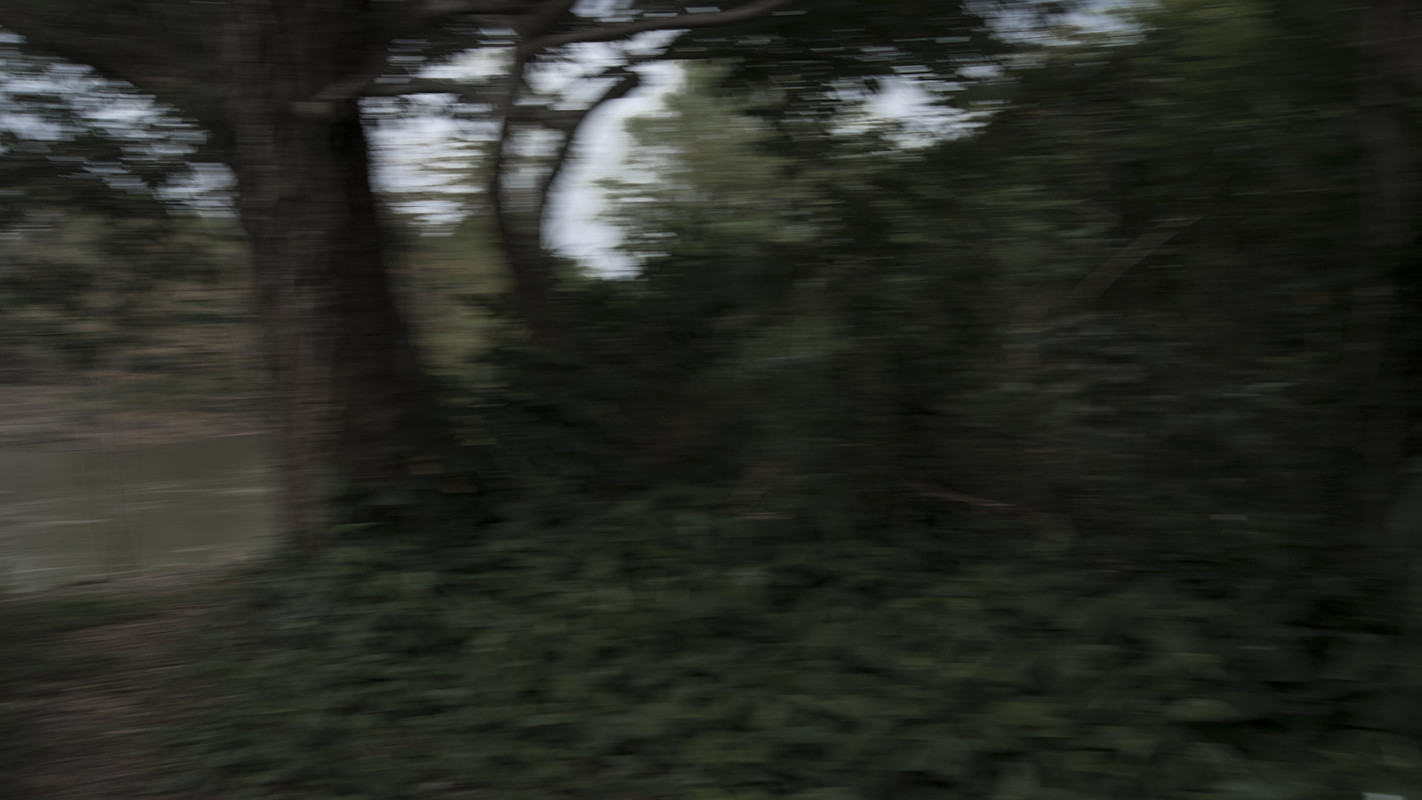 Fotografía de arboles, plantas y un río. Tomada por Sesergio Gtz